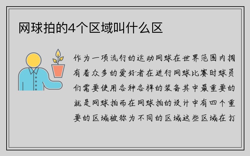 网球拍的4个区域叫什么区