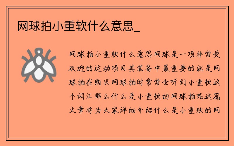 网球拍小重软什么意思_