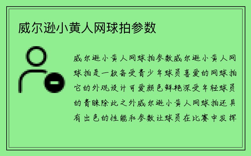 威尔逊小黄人网球拍参数