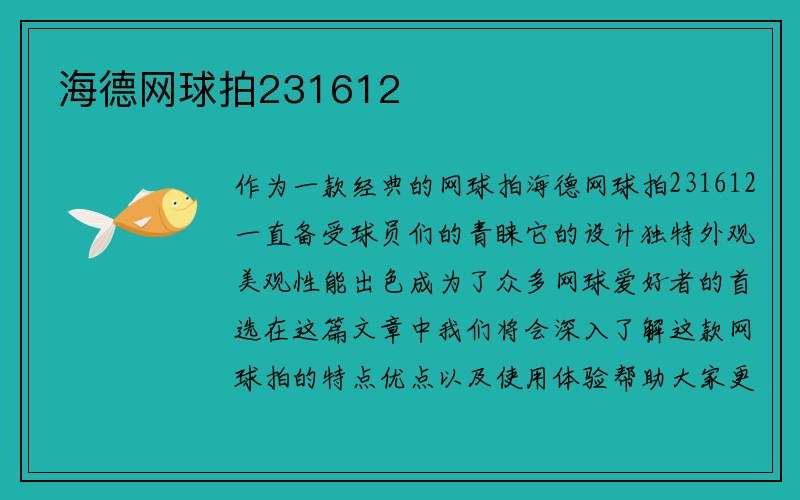 海德网球拍231612